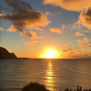 Meet your Posher, Bailey